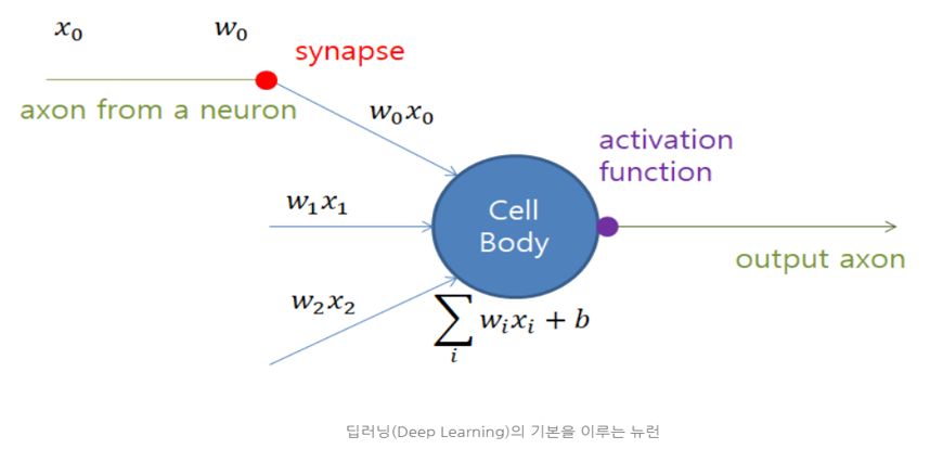 neuron_model